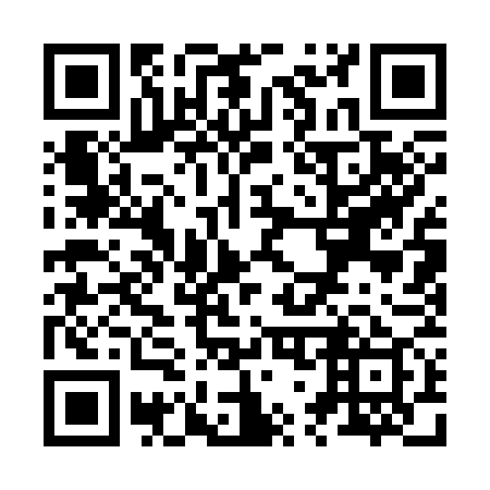 QR code for Z71379