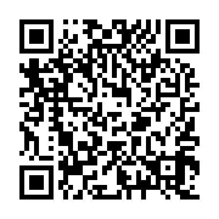 QR code for Z74919