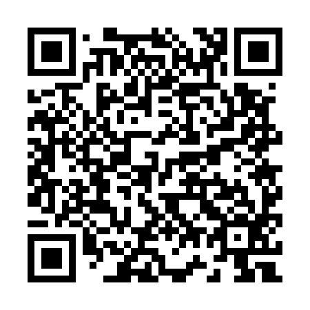 QR code for Z77596