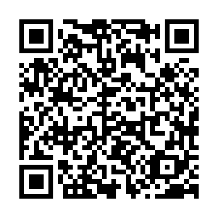 QR code for Z78868