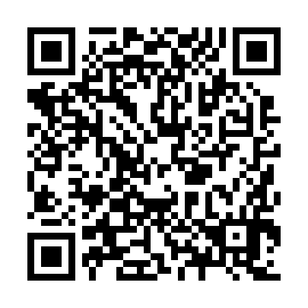QR code for Z80294