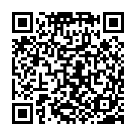 QR code for Z81161