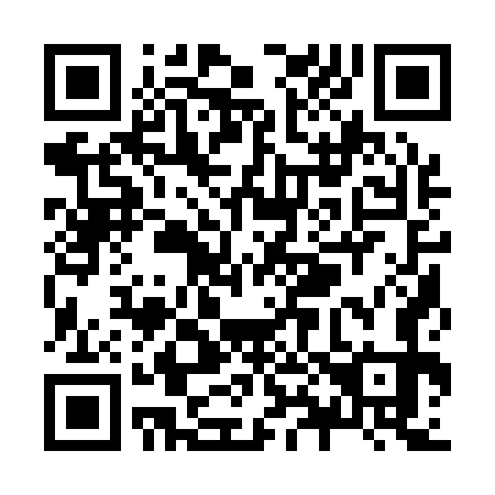 QR code for Z81173