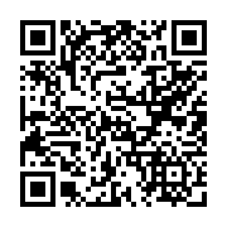 QR code for Z81266