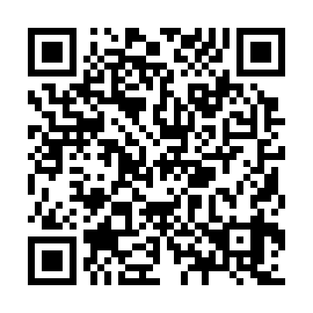 QR code for Z81339