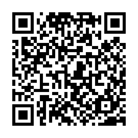 QR code for Z81424