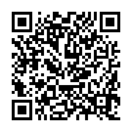 QR code for Z81594