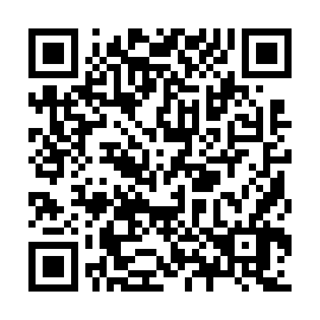 QR code for Z81666