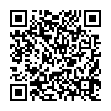 QR code for Z81747