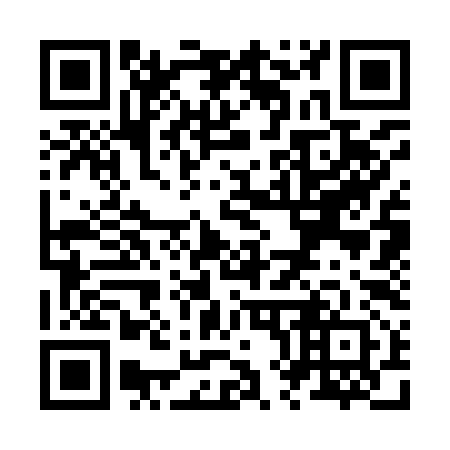 QR code for Z83992