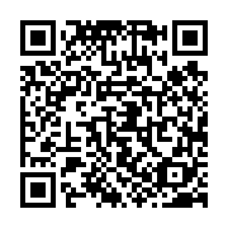 QR code for Z84668