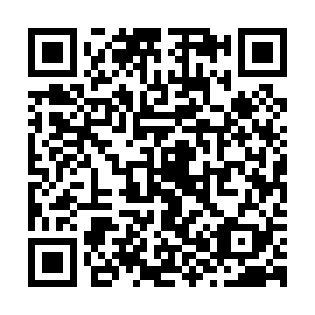 QR code for Z85029