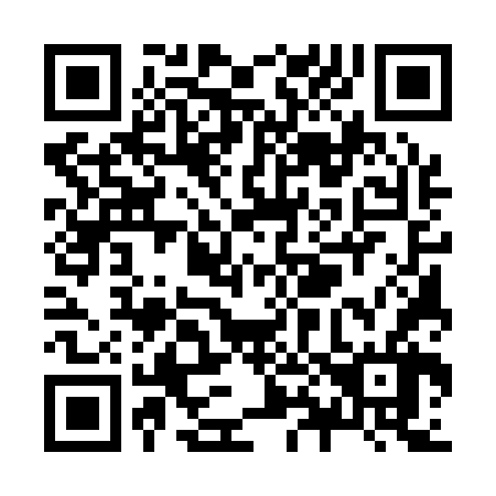 QR code for Z85166