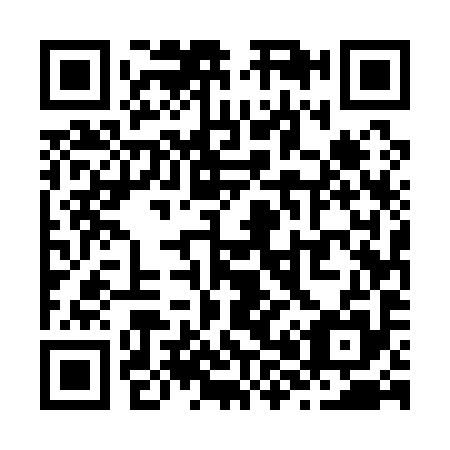 QR code for Z85195
