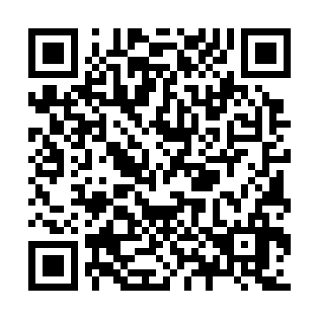 QR code for Z85336