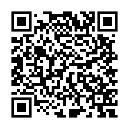 QR code for Z85577