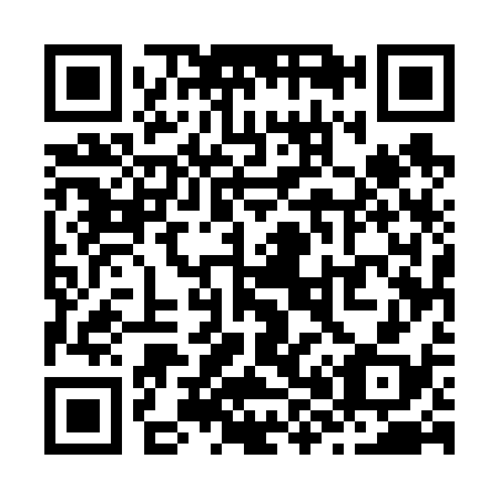QR code for Z85638