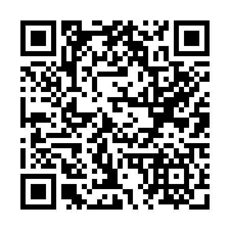 QR code for Z86307