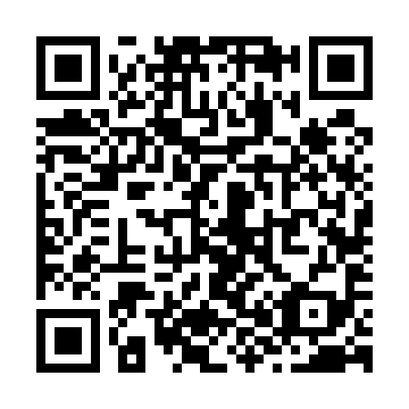 QR code for Z86599