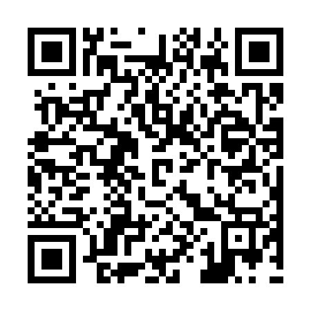 QR code for Z87377