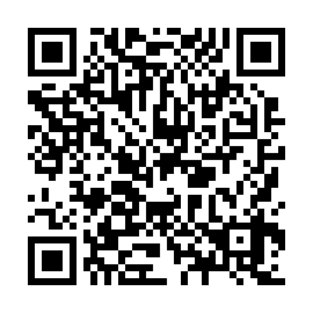 QR code for Z88238