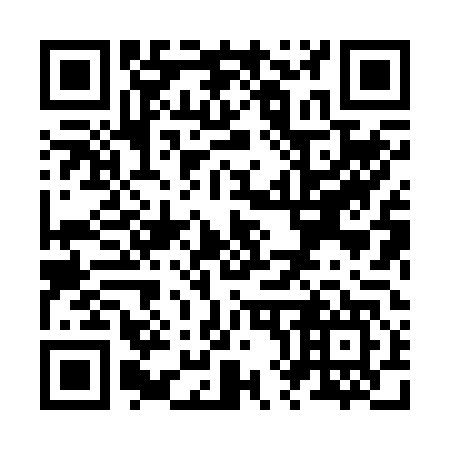 QR code for Z88247