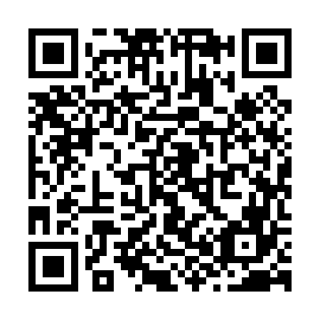 QR code for Z89066