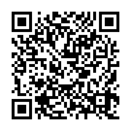 QR code for Z89138