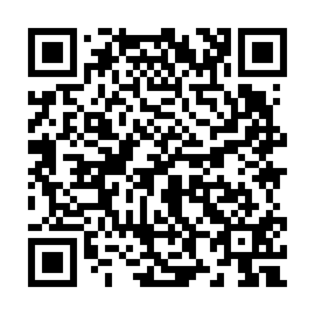 QR code for Z89611