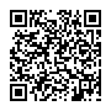 QR code for Z90173