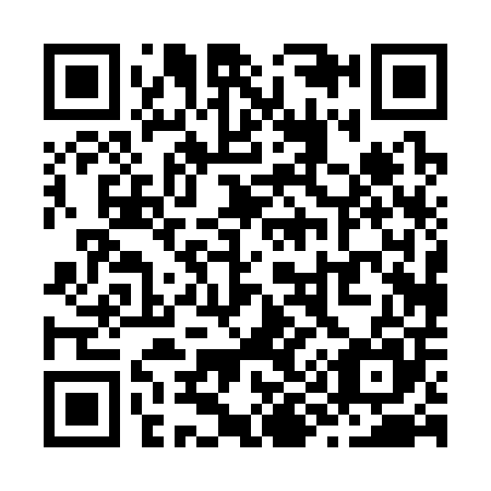 QR code for Z90305