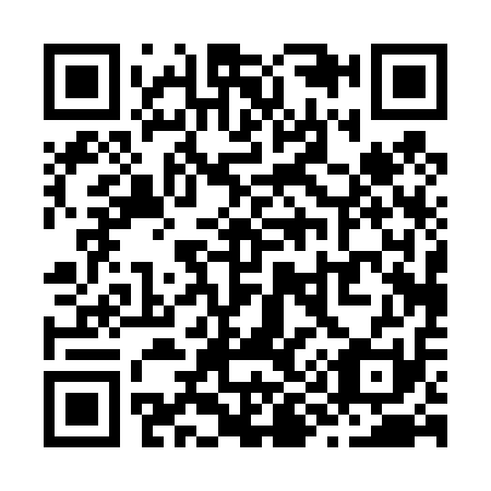 QR code for Z90411