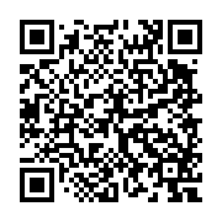 QR code for Z90486