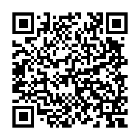 QR code for Z90492