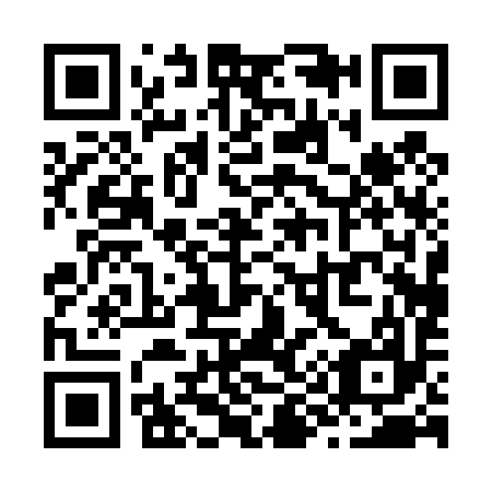 QR code for Z90497
