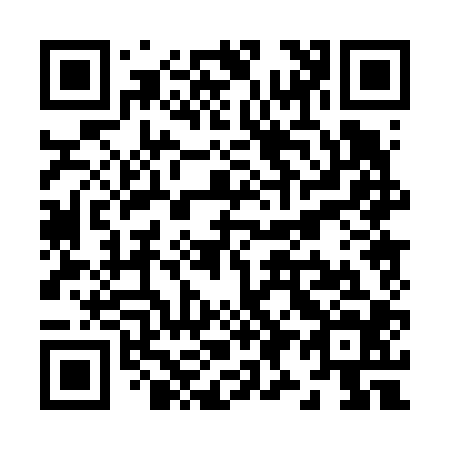 QR code for Z90604