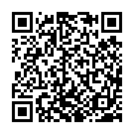 QR code for Z90613