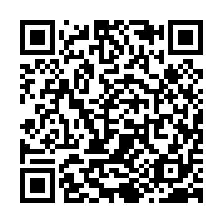QR code for Z91010