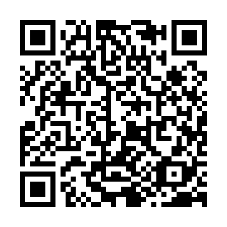 QR code for Z91128