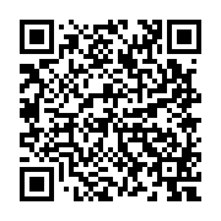 QR code for Z91181
