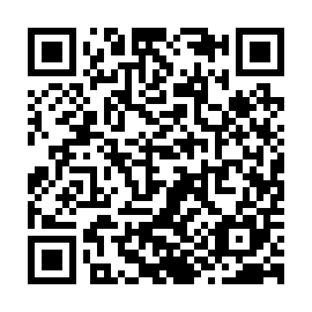 QR code for Z91205