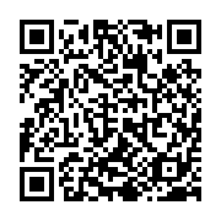 QR code for Z91211