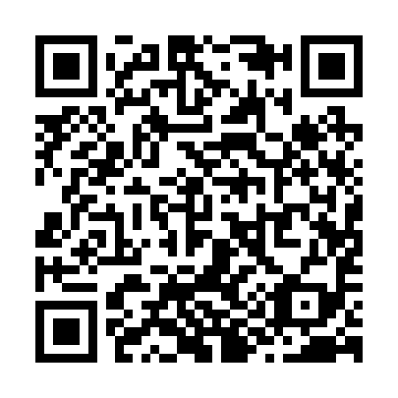 QR code for Z91299