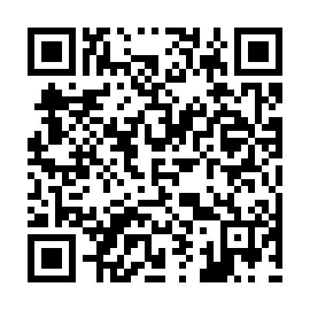 QR code for Z91306