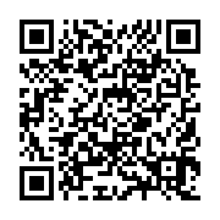 QR code for Z91315