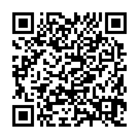 QR code for Z91385