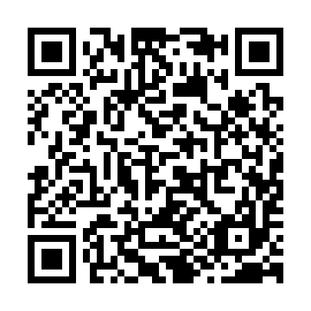 QR code for Z91397