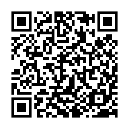 QR code for Z91495