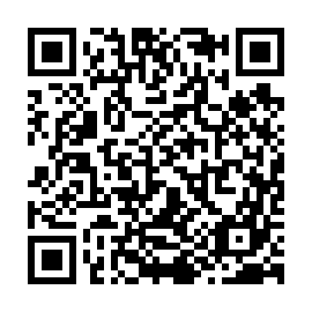 QR code for Z91667