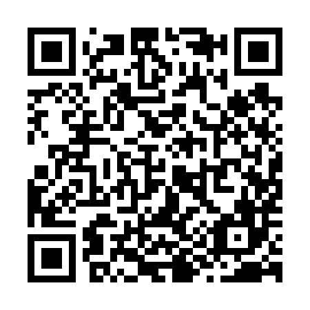 QR code for Z91686